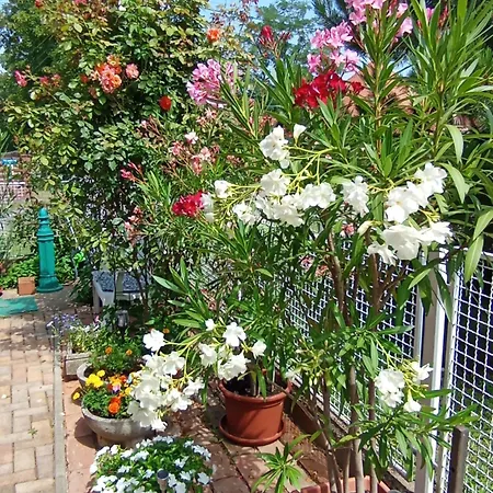 Marika Apartman Hajdúszoboszló Exterior foto