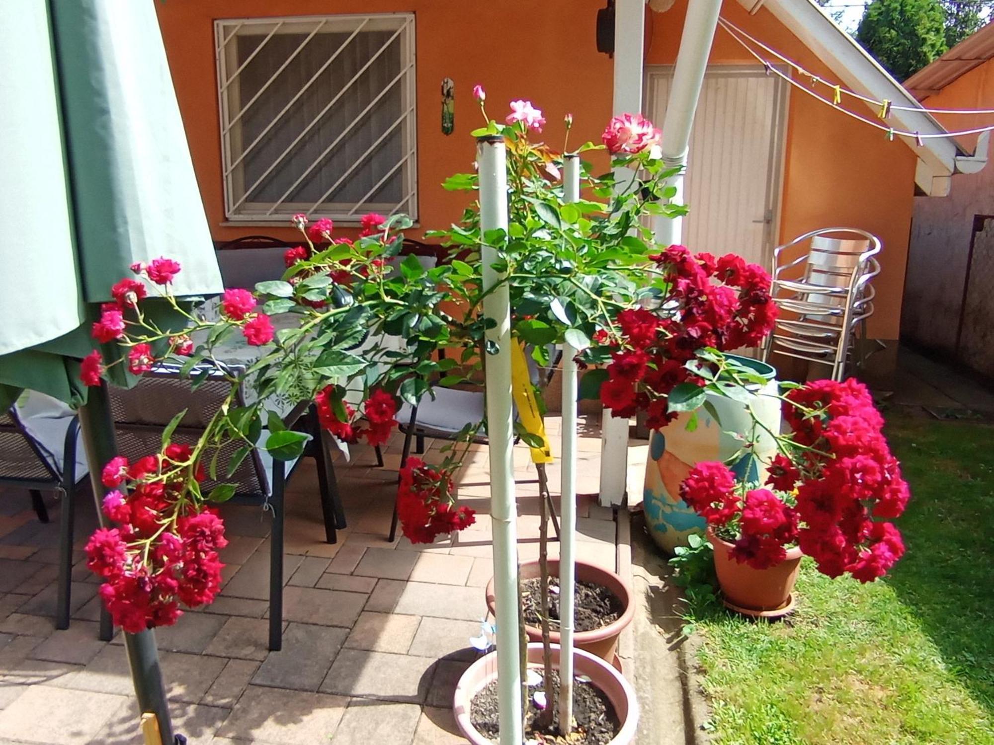 Apartamento Marika